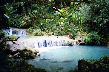 This photo of a waterfall on the island of Maewo, Vanuatu was taken by Simon Clemow of Mulgrave, Victoria in Australia.
